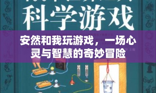 心靈與智慧的奇妙冒險(xiǎn)，安然與我共游