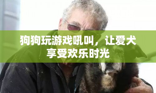 狗狗玩游戲吼叫，享受歡樂時光