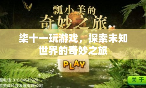 柒十一，探索未知世界的奇妙之旅