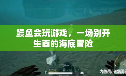 鰻魚海底冒險(xiǎn)，一場(chǎng)別開生面的游戲  第1張