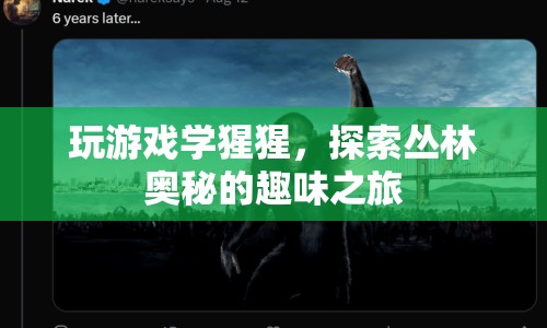 探索叢林奧秘，與猩猩共舞，開啟趣味游戲之旅  第1張