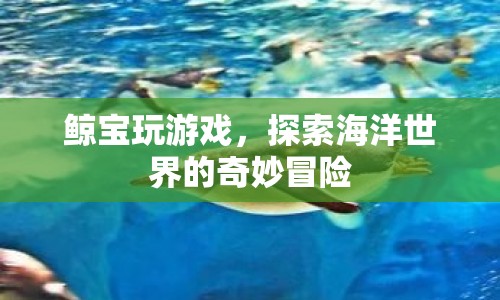 鯨寶游戲，探索海洋世界的奇妙冒險