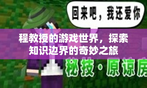 程教授的游戲世界，探索知識(shí)邊界的奇妙之旅