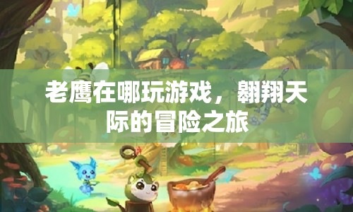 翱翔天際的冒險(xiǎn)，老鷹的飛行之旅