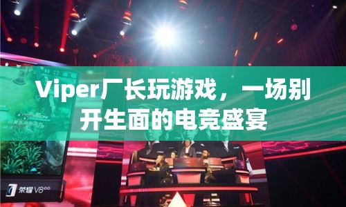 Viper廠長引領(lǐng)電競盛宴，一場精彩絕倫的游戲之旅