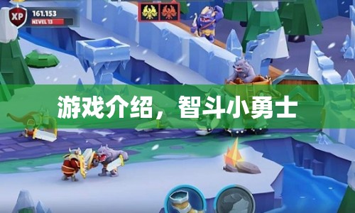 智斗小勇士，挑戰(zhàn)智慧與勇氣的冒險之旅  第1張