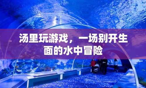 湯里玩游戲，水中冒險新體驗