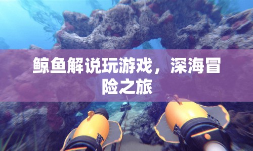 鯨魚解說深海冒險(xiǎn)之旅，游戲盛宴