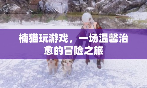 楠貓溫馨治愈的冒險之旅
