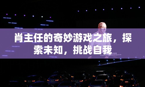 肖主任的奇妙游戲之旅，探索未知，挑戰(zhàn)自我