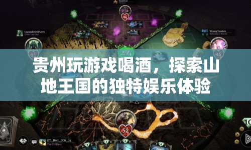 貴州山地娛樂，探索游戲與美酒交織的獨(dú)特體驗(yàn)