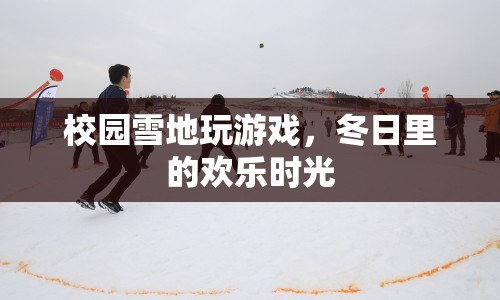 冬日校園雪地游戲，歡樂時光