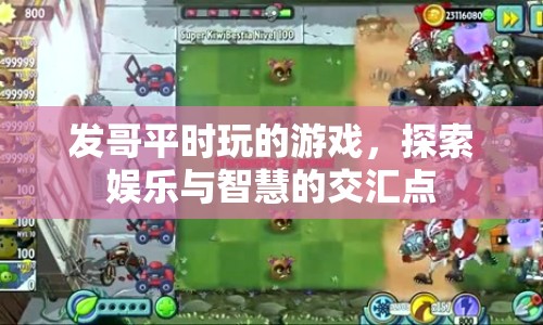 探索發(fā)哥游戲世界，娛樂與智慧的交匯點(diǎn)
