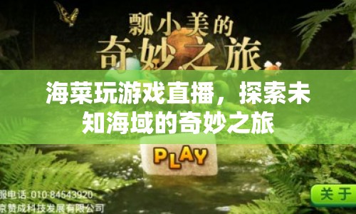 海菜探索未知海域，奇妙之旅的直播游戲盛宴