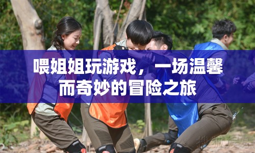 喂姐姐玩游戲，一場溫馨而奇妙的冒險之旅