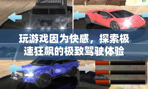 探索極速狂飆，駕駛游戲的極致快感體驗(yàn)  第1張