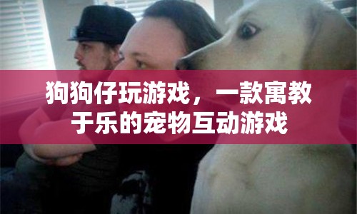 寓教于樂(lè)，狗狗仔玩游戲，寵物互動(dòng)新體驗(yàn)