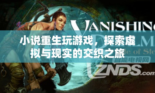 重生玩游戲，虛擬與現(xiàn)實(shí)的交織之旅