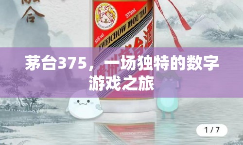 茅臺(tái)375，一場(chǎng)數(shù)字游戲之旅的奇妙體驗(yàn)