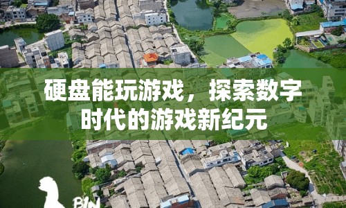 探索數(shù)字時(shí)代的游戲新紀(jì)元，硬盤(pán)能否成為游戲新平臺(tái)？
