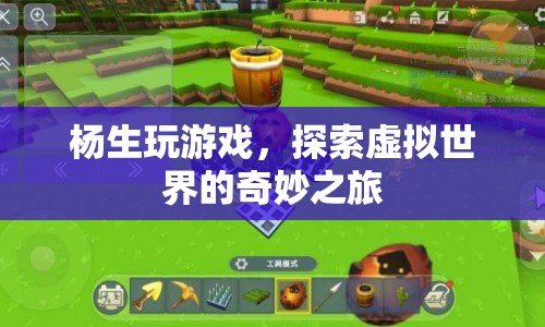 楊生探索虛擬世界的奇妙之旅