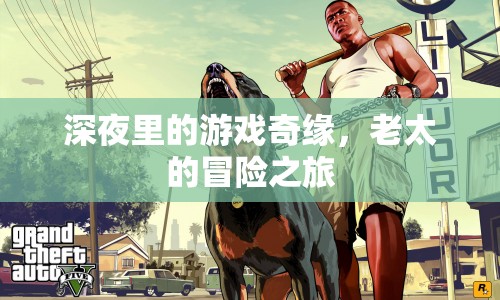 老太深夜游戲奇緣冒險(xiǎn)之旅  第1張