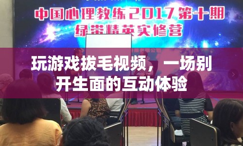 游戲拔毛，互動體驗(yàn)新玩法