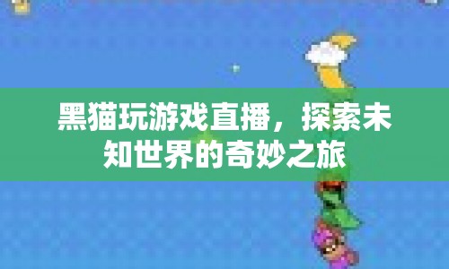 黑貓?zhí)剿魑粗澜绲钠婷钣螒蛑辈ブ? class=