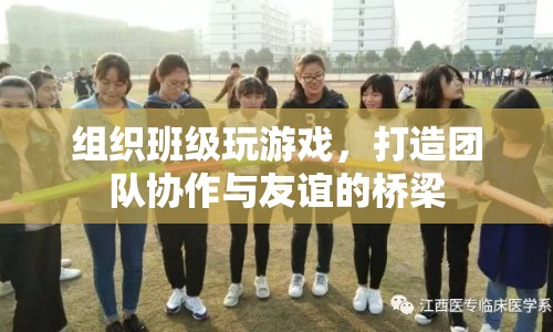 組織班級游戲，打造團隊協(xié)作與友誼的橋梁
