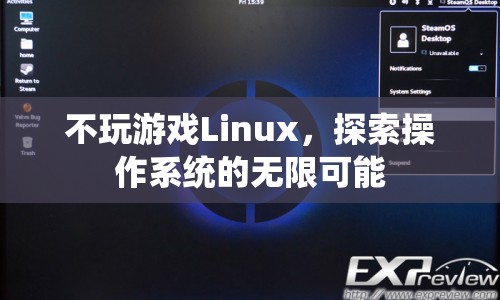 探索Linux操作系統(tǒng)的無(wú)限可能，不玩游戲也能發(fā)現(xiàn)驚喜！