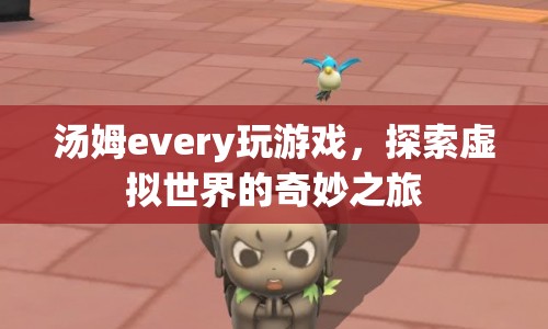 湯姆every的虛擬世界探險(xiǎn)之旅