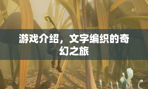 文字編織的奇幻之旅，一場游戲盛宴