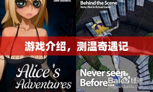 測(cè)溫奇遇記，一場(chǎng)游戲之旅