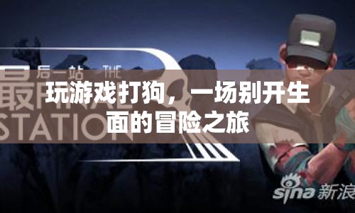 一場(chǎng)別開生面的冒險(xiǎn)之旅，玩游戲打狗  第1張
