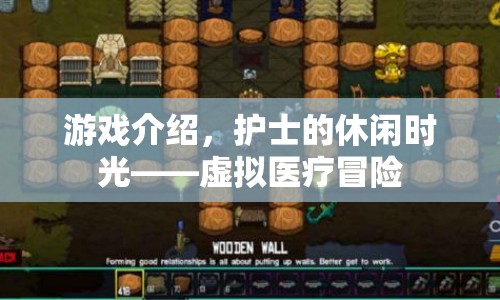 護士的虛擬醫(yī)療冒險之旅