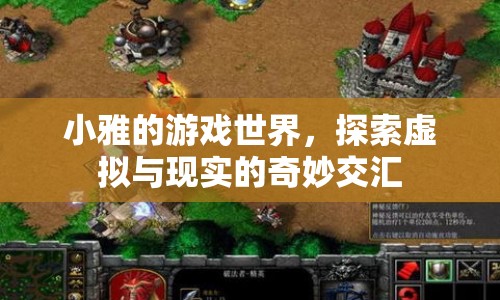 小雅的游戲世界，探索虛擬與現(xiàn)實(shí)的奇妙交匯