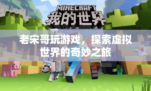 老宋哥探索虛擬世界的奇妙之旅