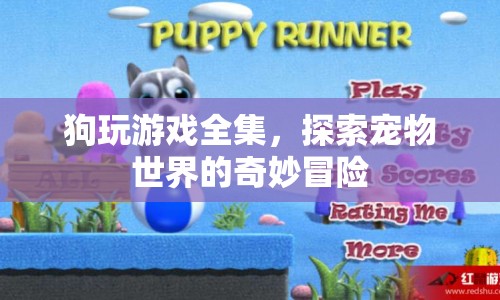 狗玩游戲全集，探索寵物世界的奇妙冒險