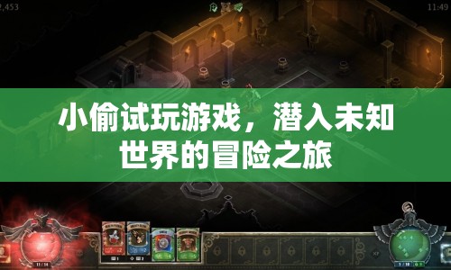 小偷的冒險(xiǎn)之旅，潛入未知世界的游戲之旅