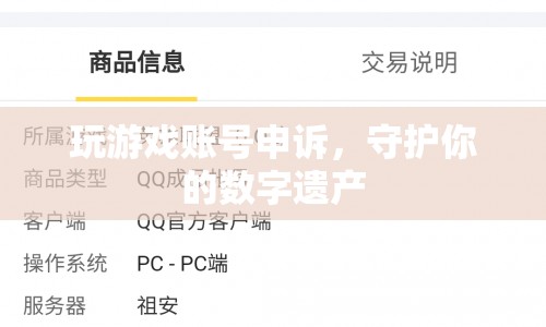 如何有效申訴游戲賬號，守護(hù)你的數(shù)字遺產(chǎn)？