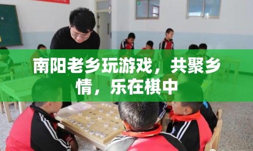 南陽老鄉(xiāng)共聚棋局，樂享鄉(xiāng)情時(shí)光