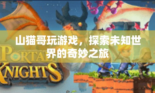 山貓哥探索未知世界的奇妙游戲之旅