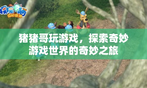 豬豬哥游戲探索之旅，奇妙游戲世界的冒險(xiǎn)