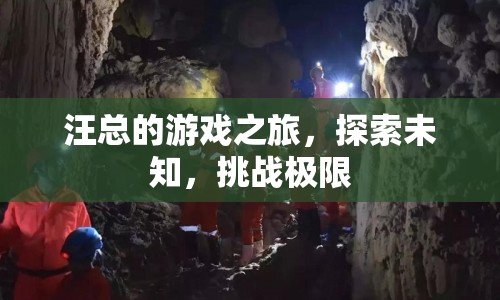汪總的游戲之旅，探索未知，挑戰(zhàn)極限