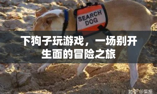 下狗子玩游戲，一場(chǎng)別開生面的冒險(xiǎn)之旅