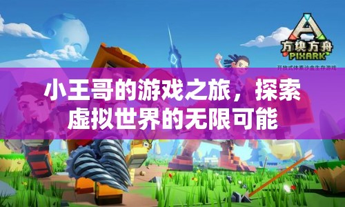 小王哥的游戲之旅，探索虛擬世界的無限可能
