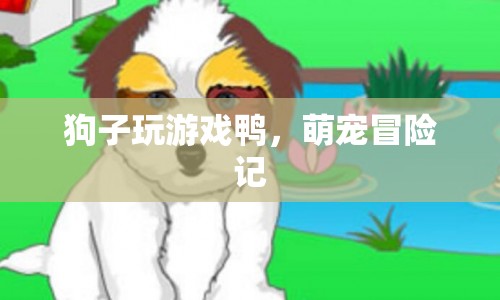 萌寵冒險(xiǎn)記，狗狗玩游戲鴨