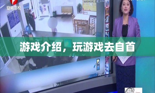 游戲介紹，玩游戲去自首