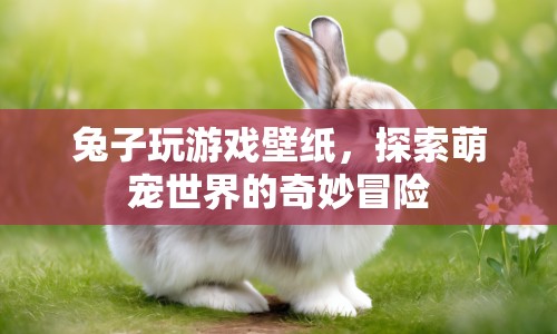 探索萌寵世界的奇妙冒險(xiǎn)，兔子玩游戲壁紙
