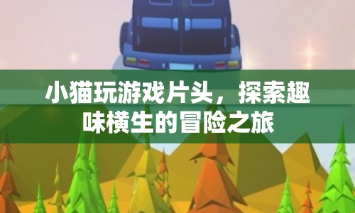 探索趣味橫生的冒險之旅，小貓玩游戲片頭